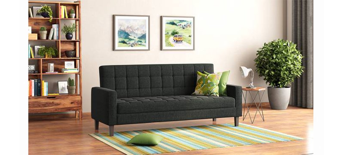 Storage Sofa Bed